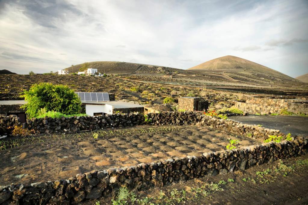 Los Frailes Eco Finca A Тинахо Экстерьер фото
